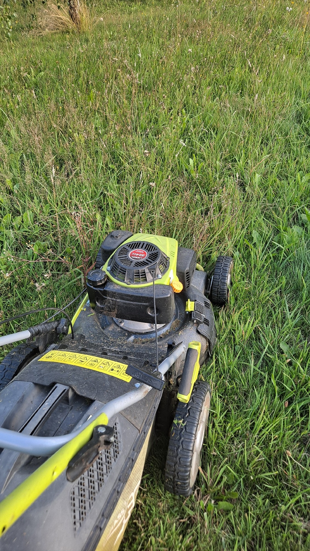 580661dd-0b17-4f5f-bf29-8461680f894d