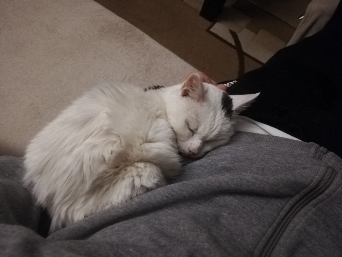 0c48441e-682e-4530-aa1b-cf4b578d8597