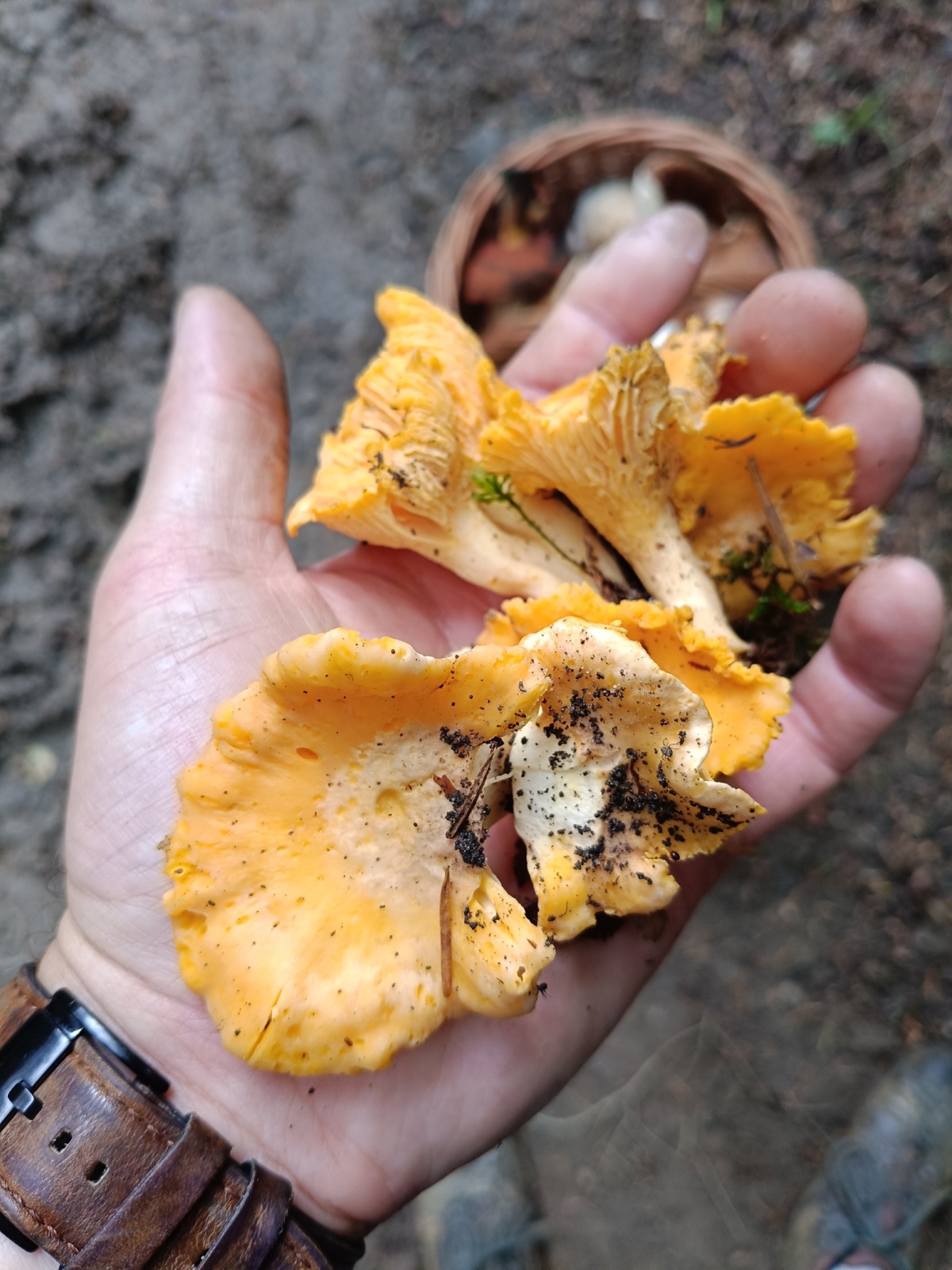 752e0217-f520-49cd-8629-790197c9b752