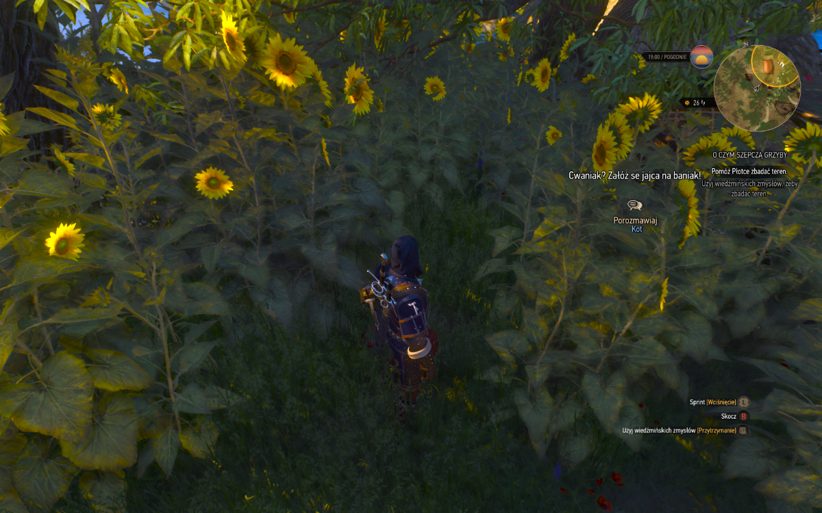 113b7535-aaa9-4a68-923a-482c71d8431c