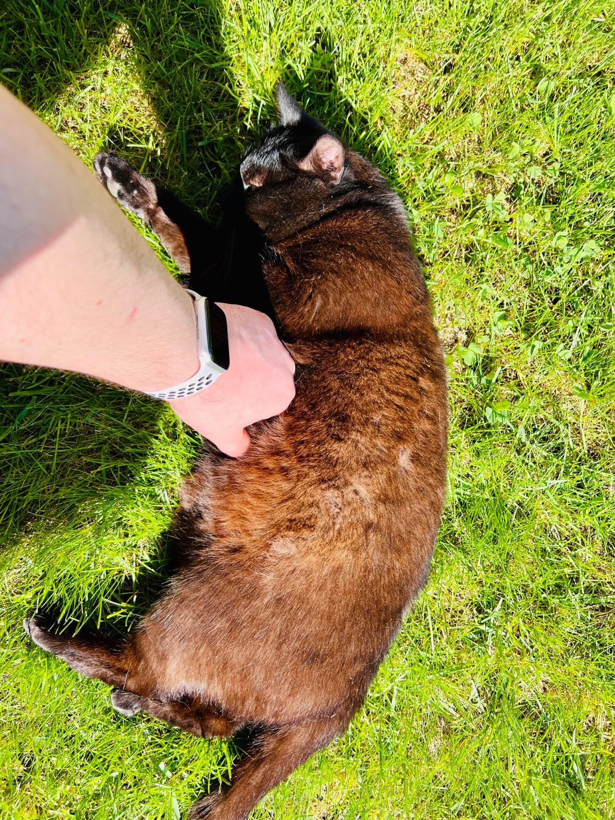 ed9a14fd-89fe-41f7-b868-189a9e93084e