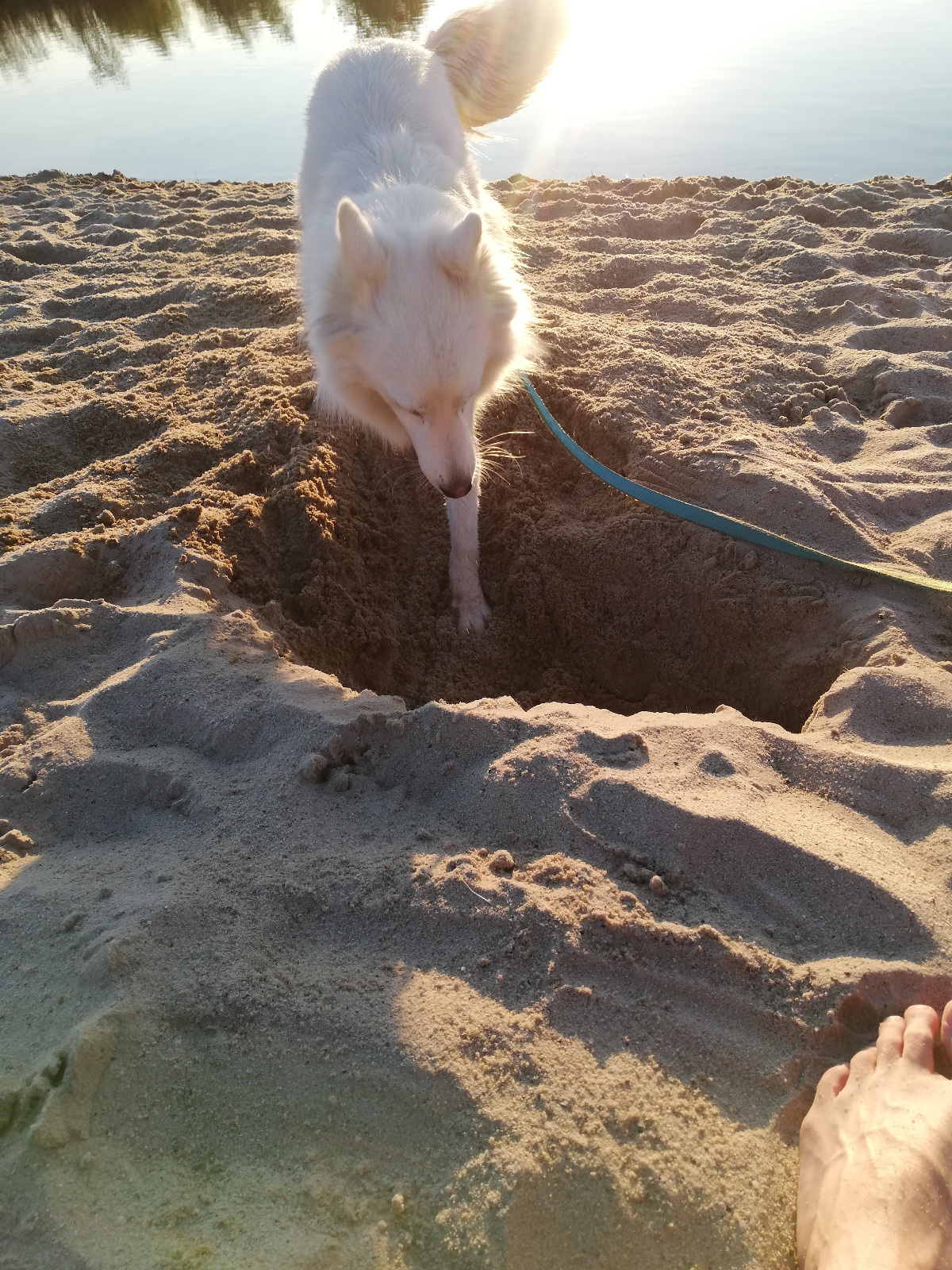 9e6085f1-ef5c-4a95-b5ba-b91cfc51905b