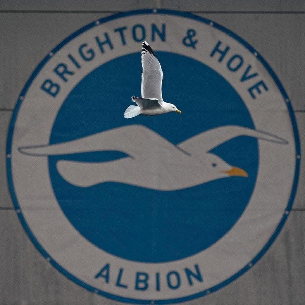 d557b95b-1473-4b74-84ec-42085829ecc6