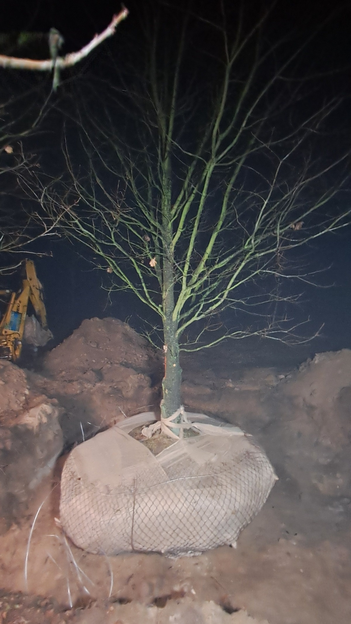 0bd6ed67-bcac-48f2-bbf1-7953c289e988