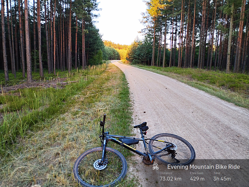 6778d13a-de90-47bf-82a6-a9d1c066b4ed