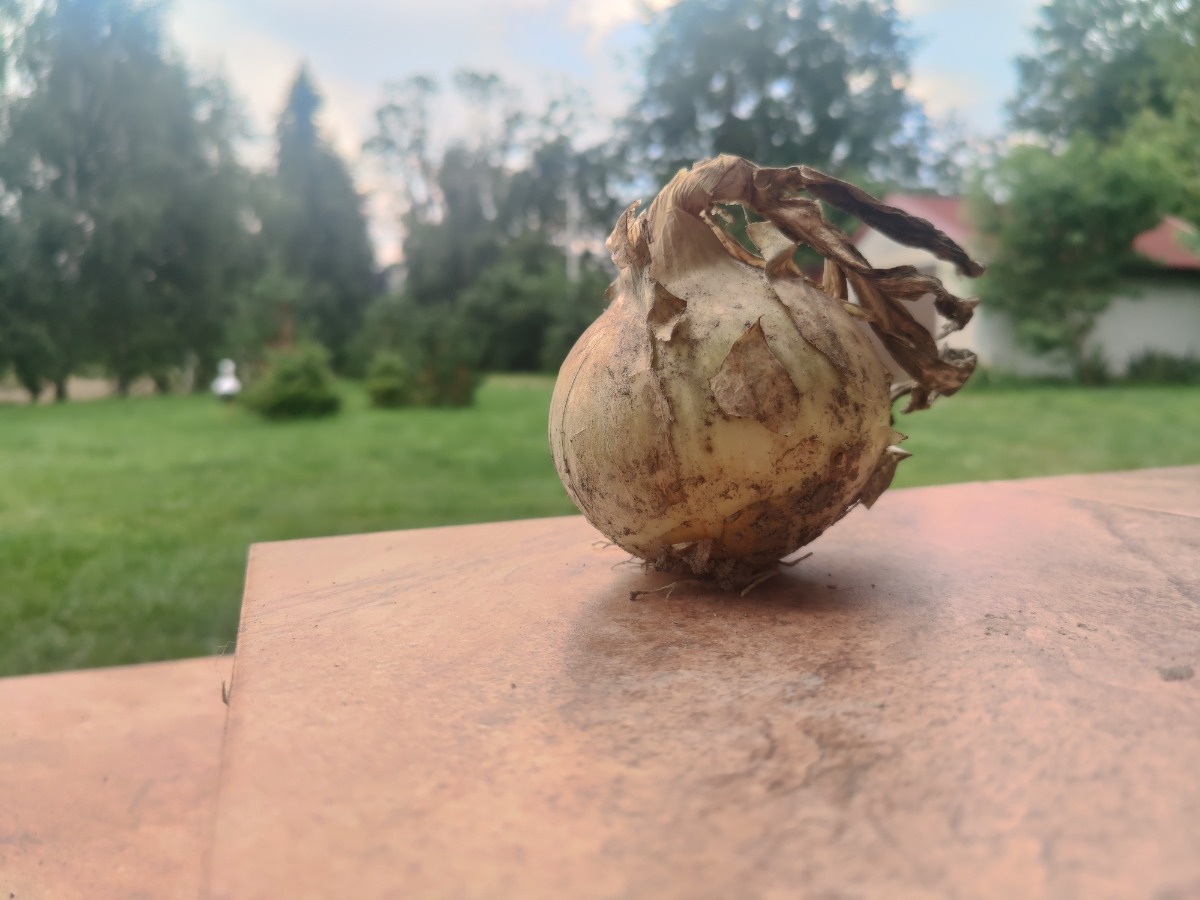 21d645d8-1770-4a18-8de4-e4fd760474eb