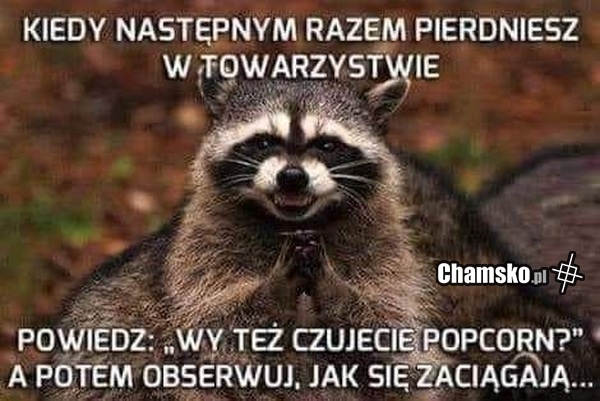 23f76c6c-0885-40d3-af27-0cdf6b6a5d08