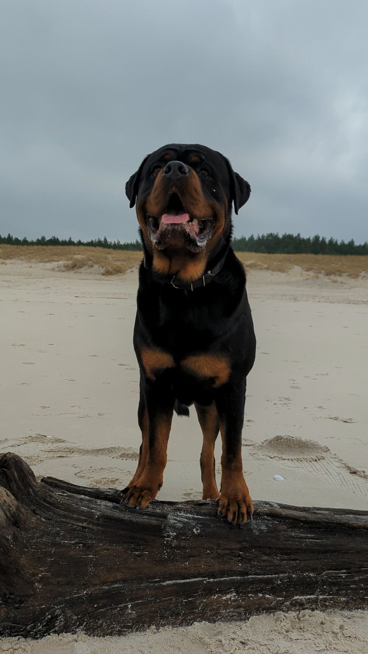 aa9e1d10-1491-4584-9d2d-bd6ee84930ea