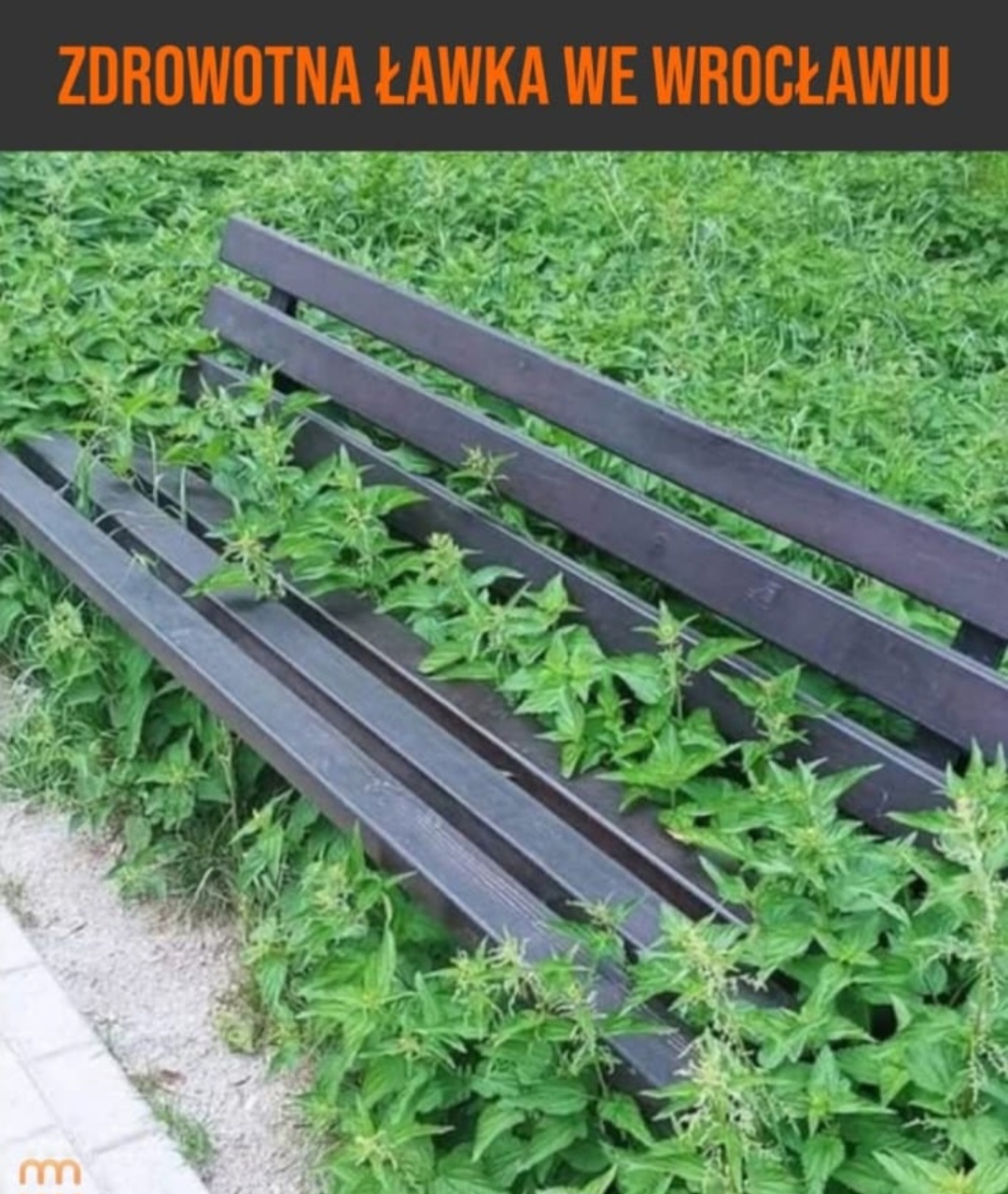 177f436b-7353-4b2d-a143-a76d012426f6