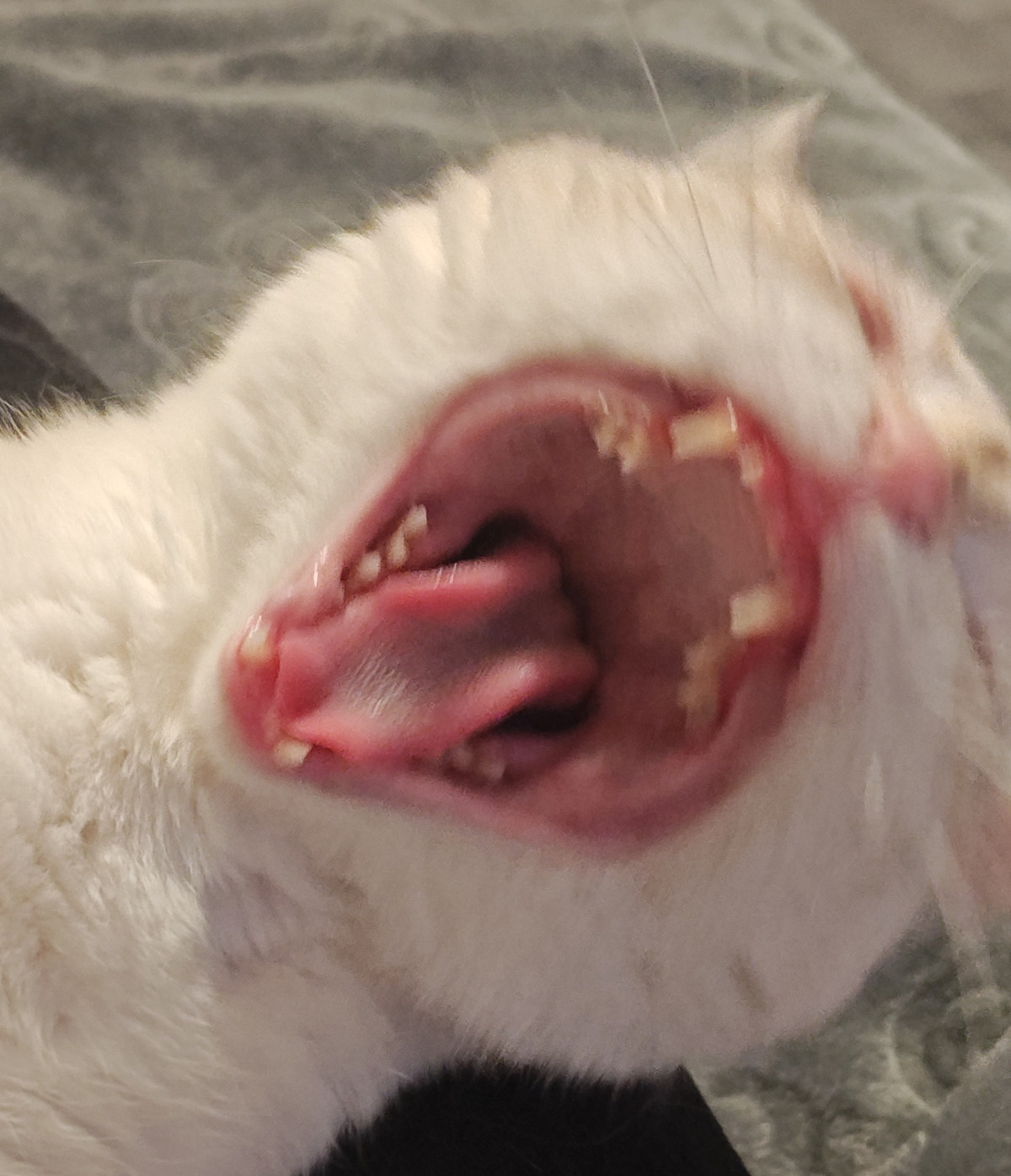 67c8f389-c66f-4a7e-a256-aee69e78df17