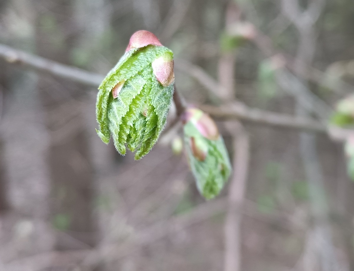 3f3caea6-8ed0-410b-9dd9-eb775df0cfa0