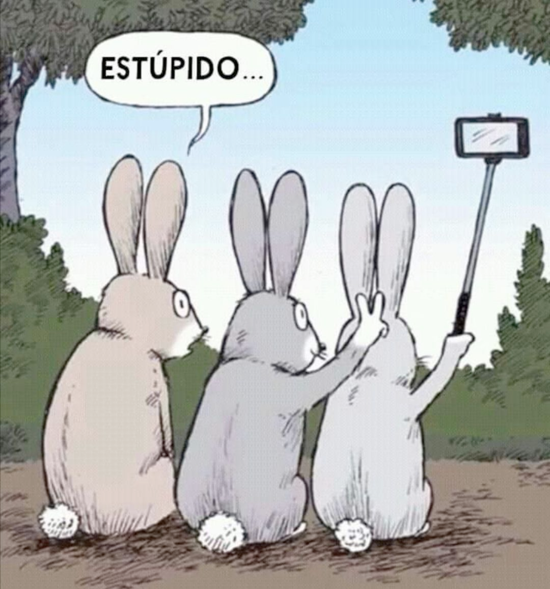 b8087864-8216-41ef-a06f-8d0f34551385