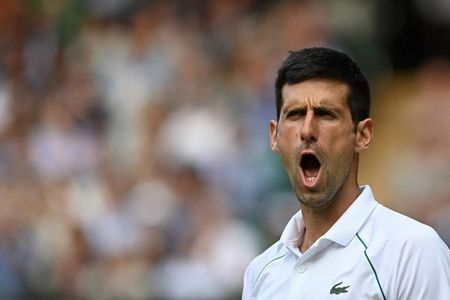 Będzie wimbledoński finał Djoković – Berrettini