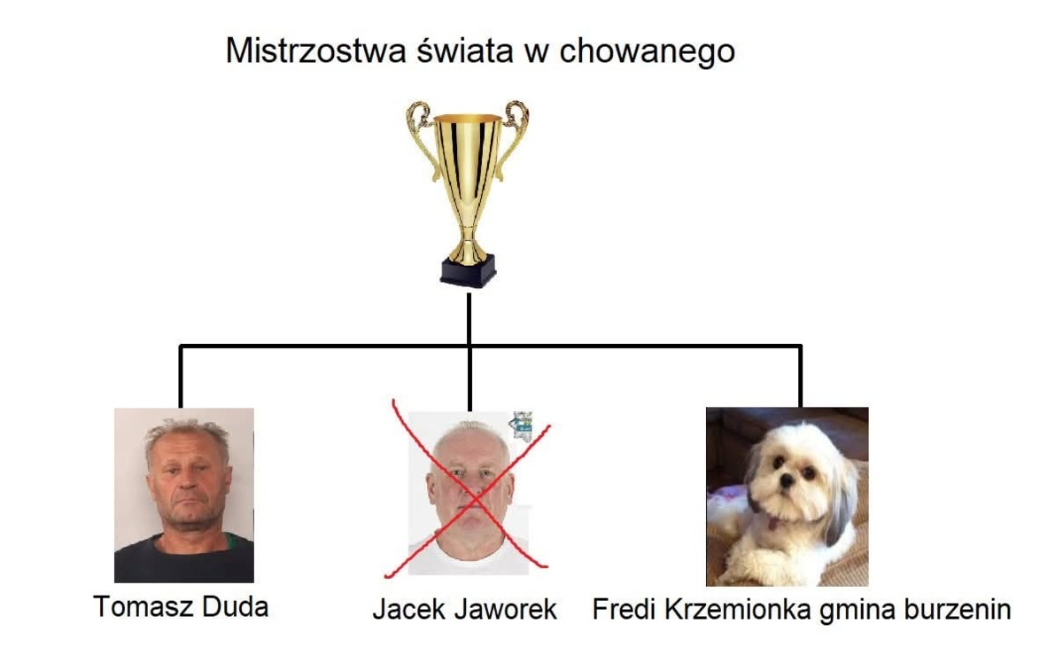 fbaaa0b9-7f18-4cd3-afaf-f0452c8acb59