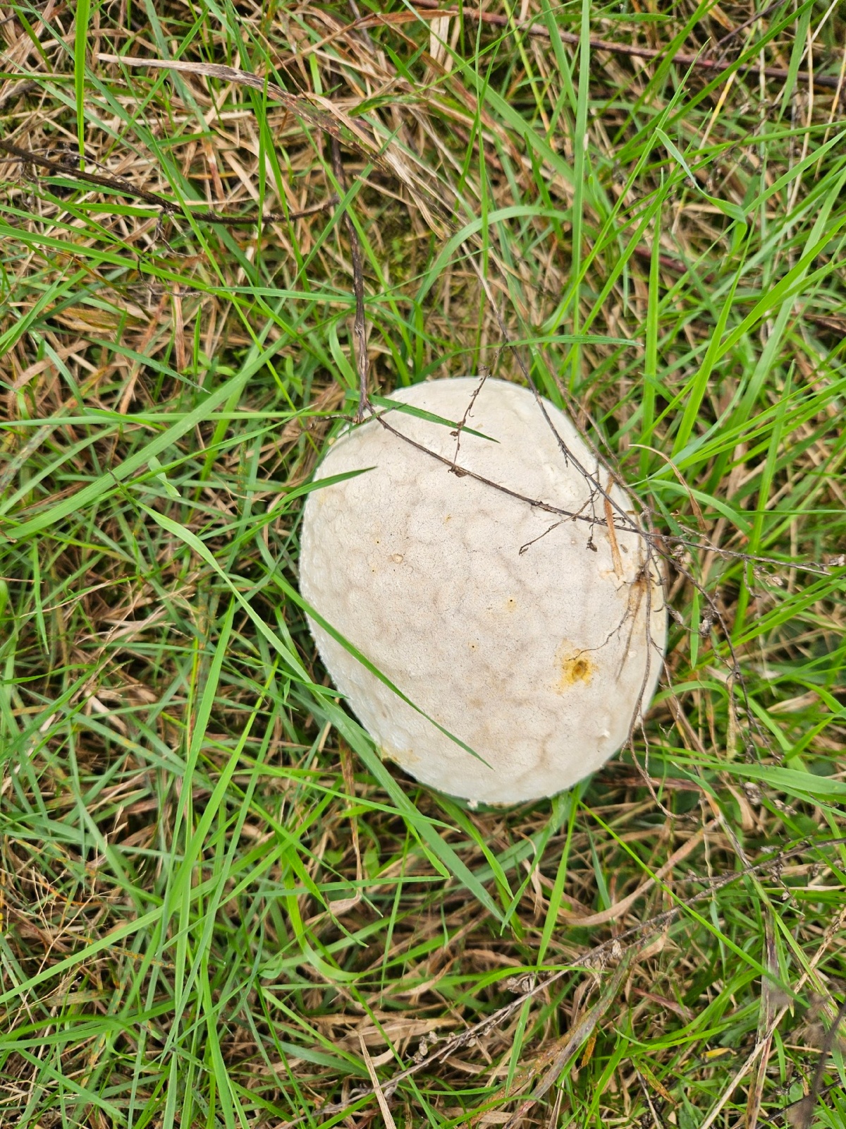 8729d417-6d04-4712-a74d-8ab1bcf6c448