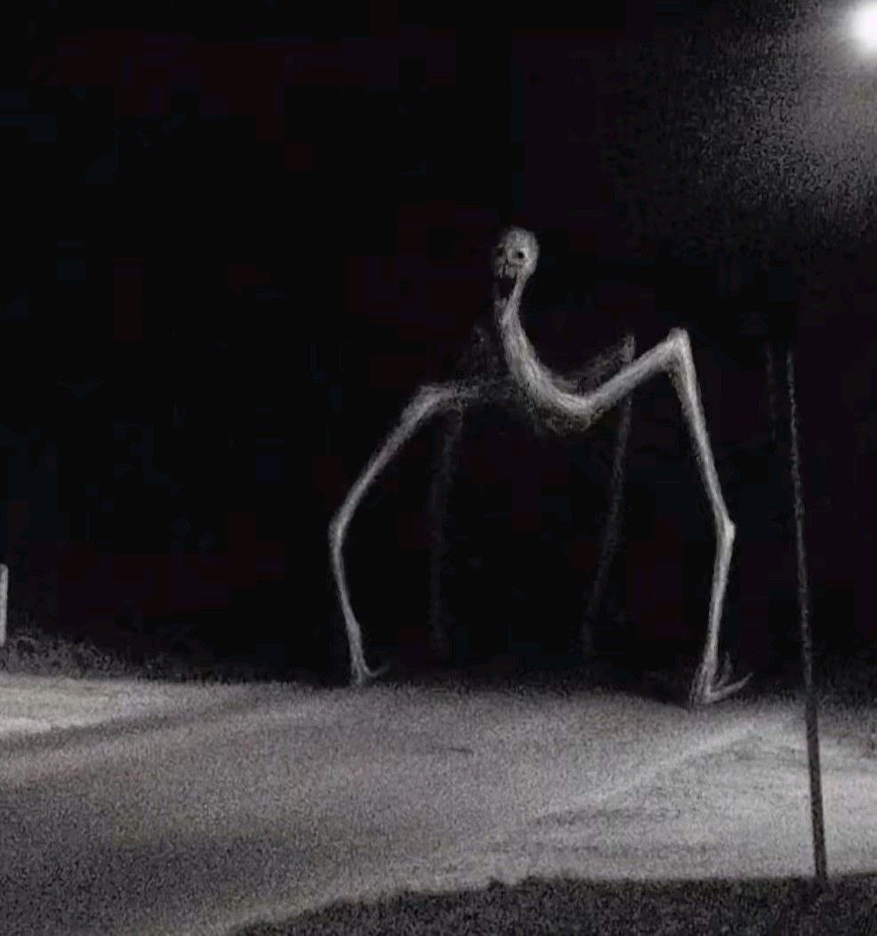 8c08abca-9f2b-44ec-920a-a5f3e6faaafe