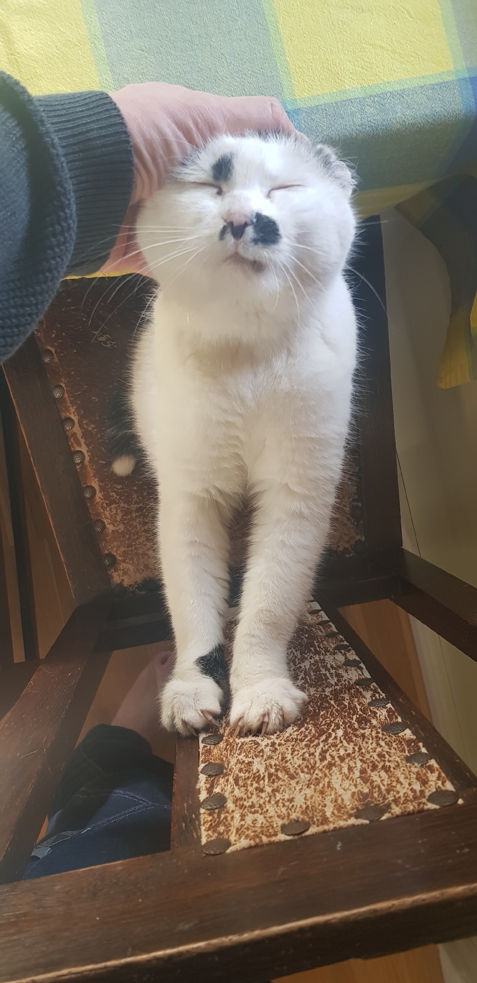 43e37028-0304-46ba-a938-985136fabbd0