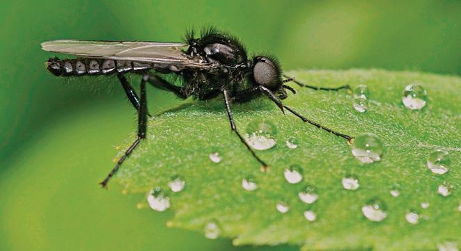 8a28780c-05f7-4afa-a1d9-fc5ff4e616e7