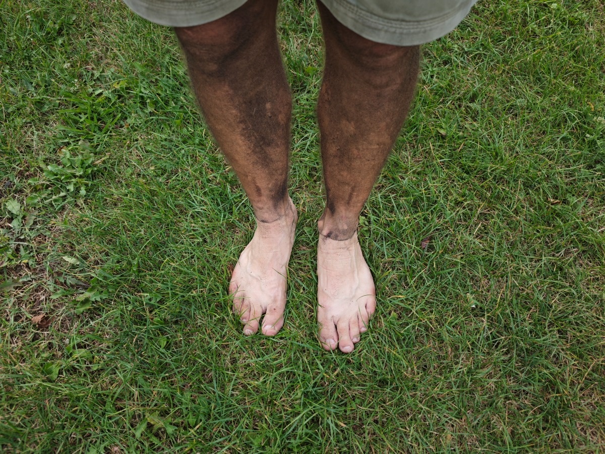 0ceddeaf-b601-46e2-89f1-99963a3aeda5