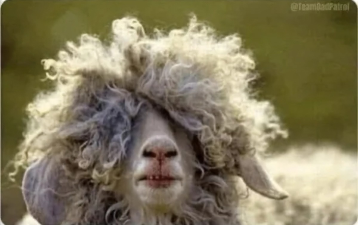 31fb367f-36cf-4e4c-87ae-e9252c471783