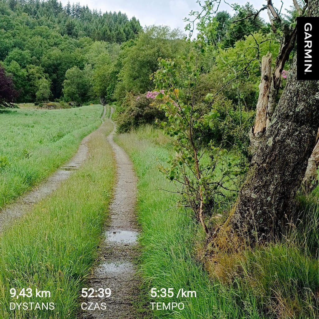 1a04174c-6198-4048-bdc2-2ecf2f428d17