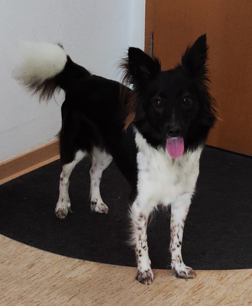 48667740-53e3-4e47-bb85-32deab355ba6