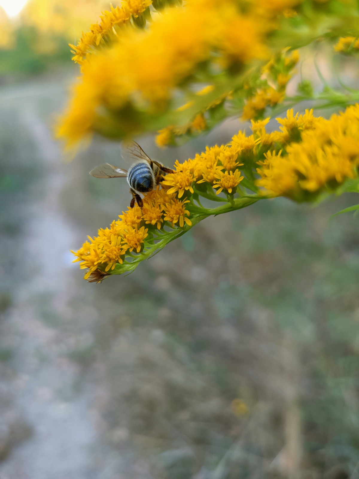 9519dc6c-8c6c-4b7e-8143-9909be2e85e5