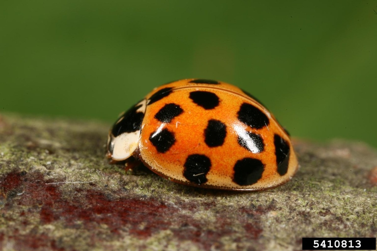 21d3c660-fb20-45f3-870b-0335d8525436