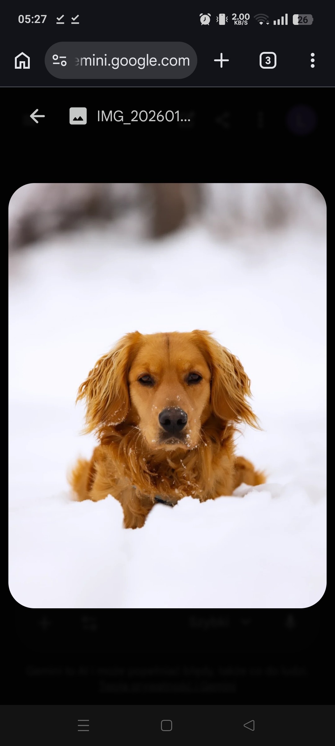 1c05dcd4-04a0-48e4-84ae-072292b86b06