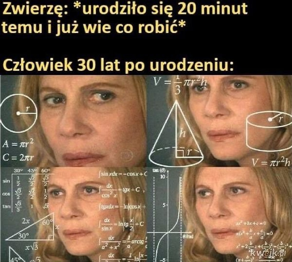 bdd9707a-d7d4-452b-a993-b4f61c524287