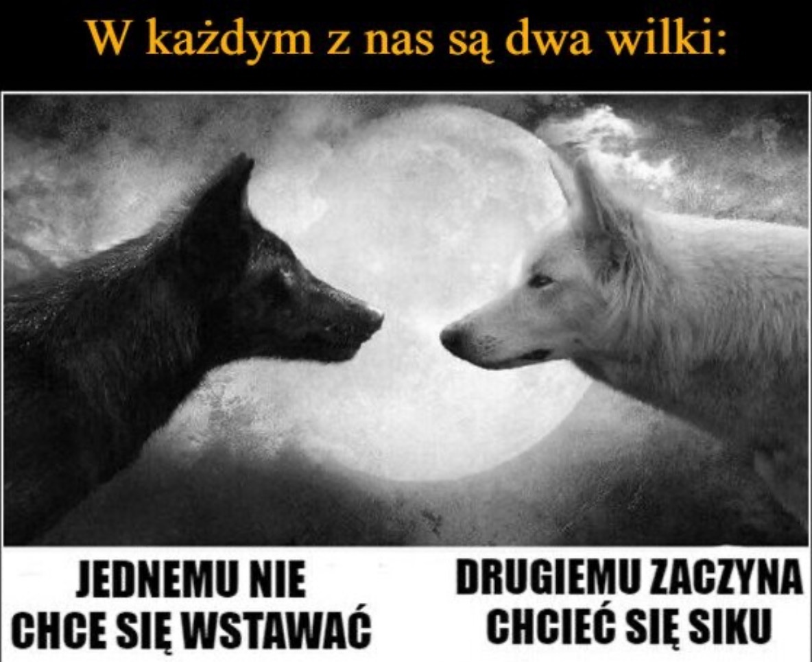 2b4c1dfe-f6bf-4b83-b38e-712a80e93154