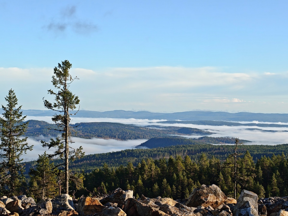 1fb1a9e1-915a-4428-babf-1b36cf7a3f08