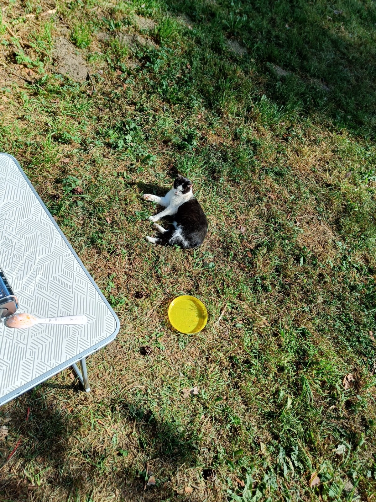 07dac851-654e-49ef-b88c-3ba84bc8ea46