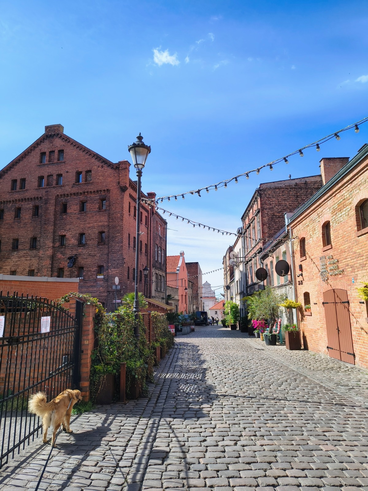 a6b1d458-021d-47a5-838b-17f983618e6c