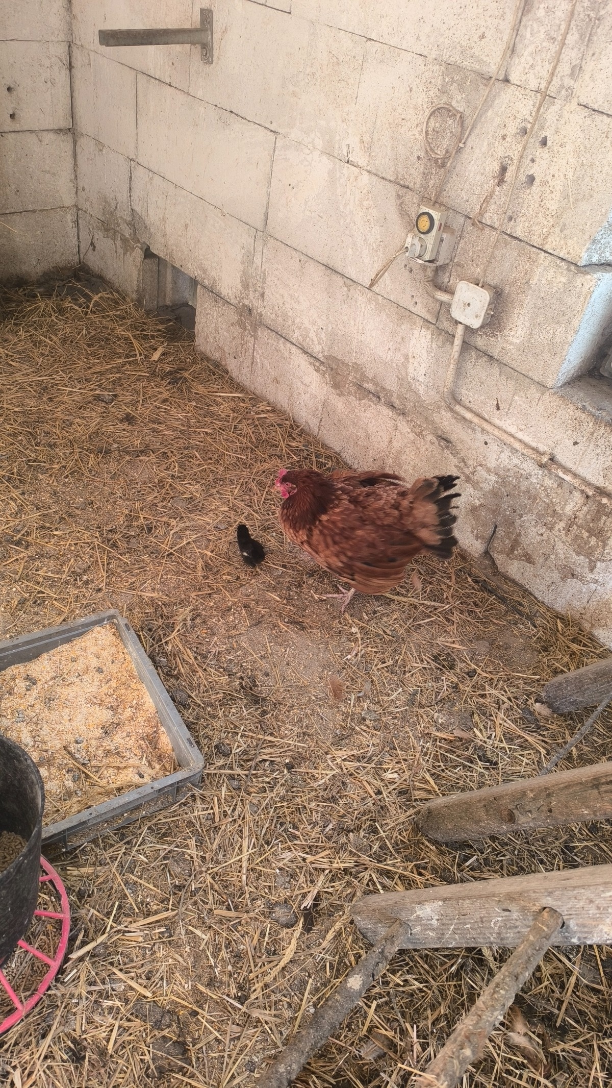 aa990095-a762-4ac2-8e39-a391a8bf9c57