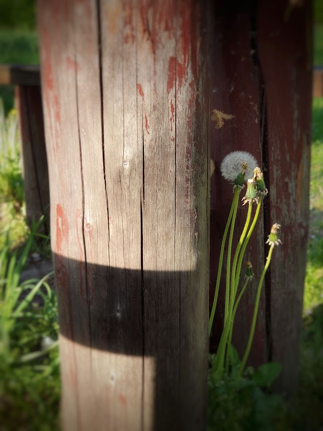 a4771639-aa3d-4675-b204-8d0090206968