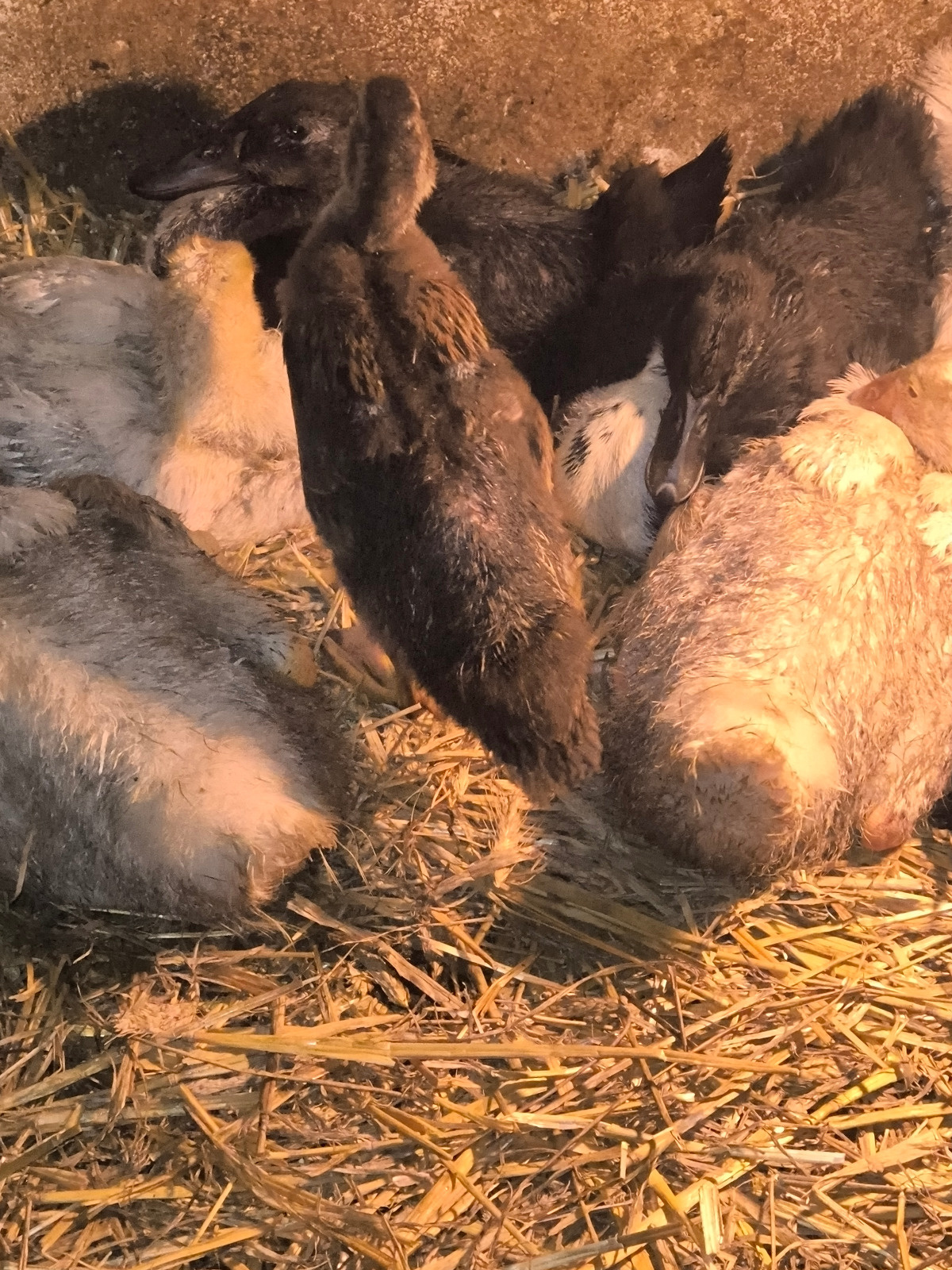 6761905e-67bc-4e7f-92d2-22125349d562