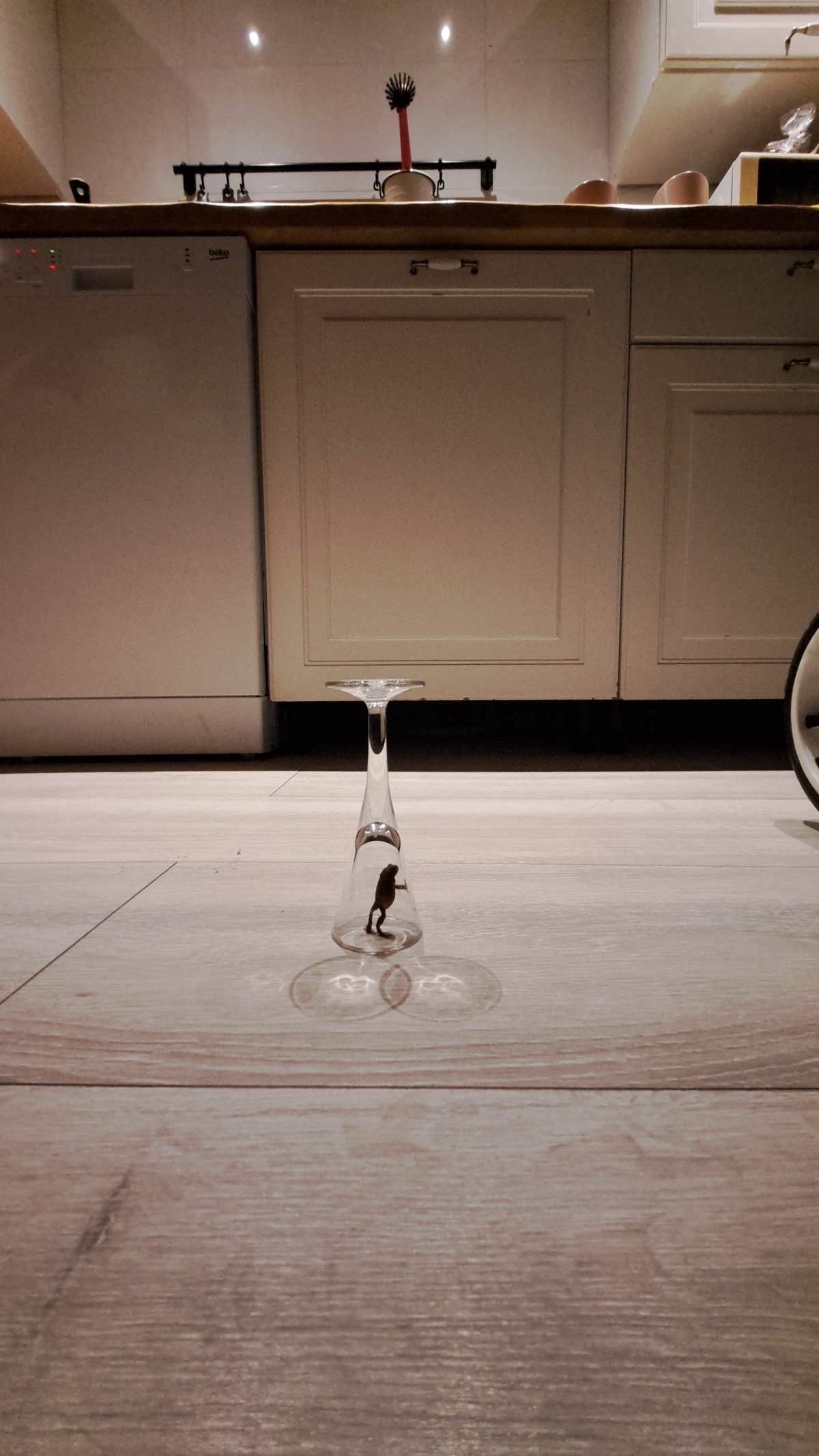 0d99c4a1-ad8e-4f9c-bd95-04e542a2cf68