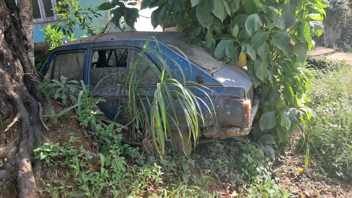 bcf02647-b69b-4a77-a9f0-f1eafe332b24