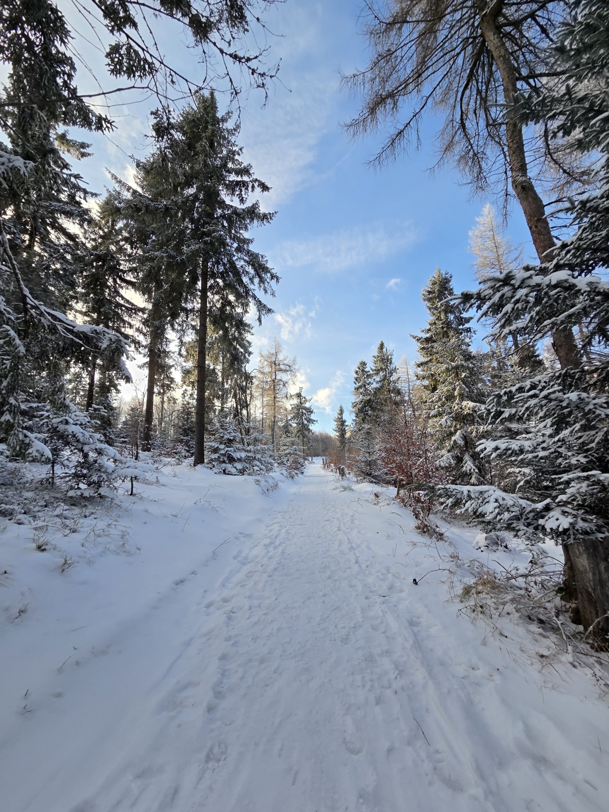 463998de-5b0a-48c0-bae5-64c613279c57