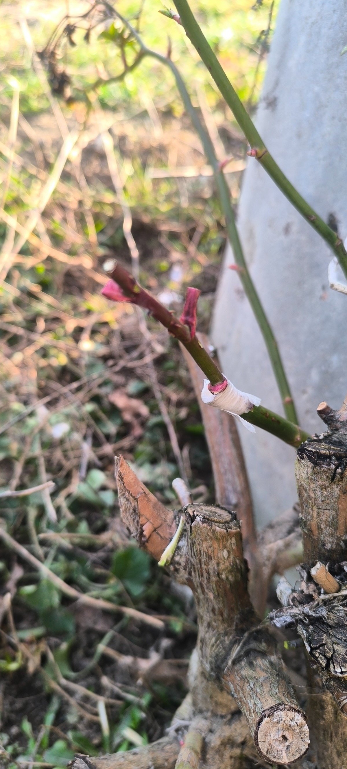 48414328-fd03-414e-840d-b94ecf504f65