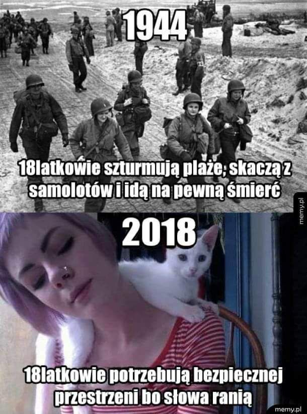 d03b115b-1636-4884-b5a8-01e32c5a6872