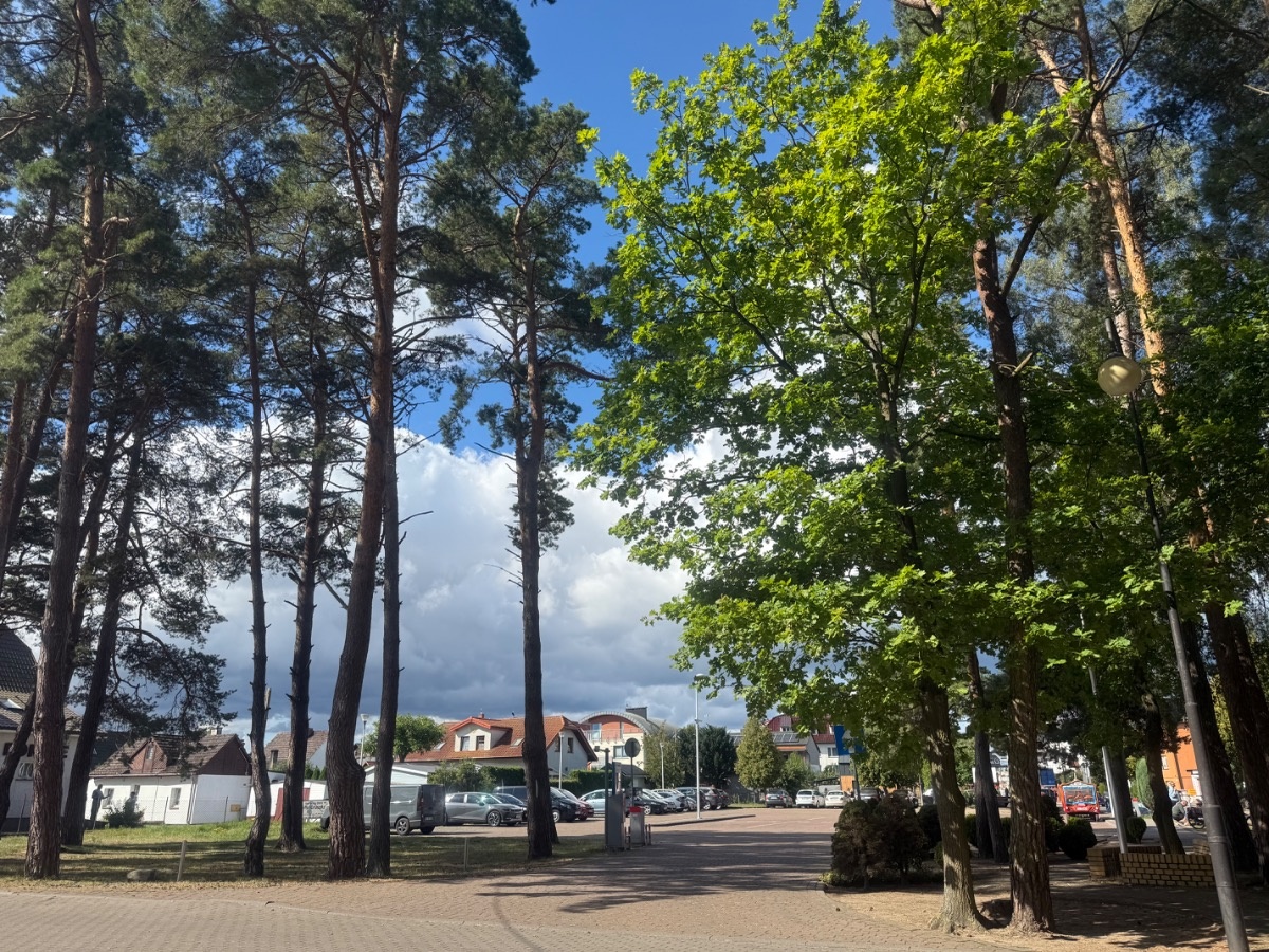 e06f2b1e-e7d4-4b1d-9011-bc17f80a6a8a