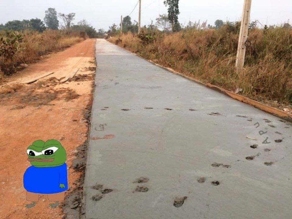 e2c84f56-320c-42a7-b135-1894e6ad613e