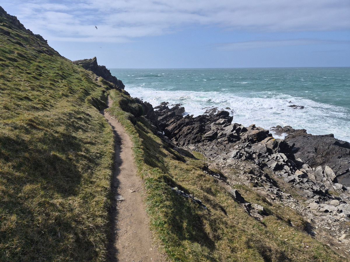 74a6b3b8-8c85-40c6-921b-123ff2da437e