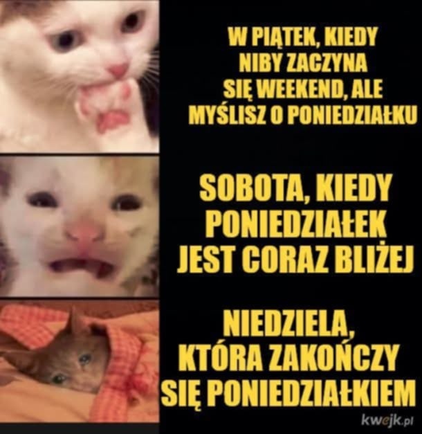 393cc9b8-e402-484f-b225-48b104fa2d8c