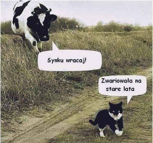 fbb7204d-d87c-4f40-806c-fe1fc493b00a