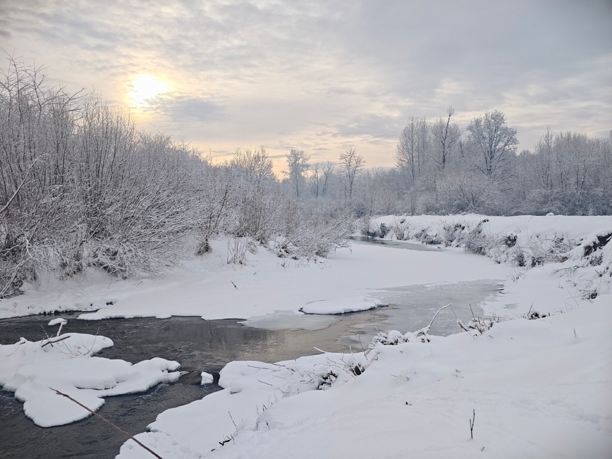 58e3b4c3-c60e-482a-8ad0-92498b449e5e