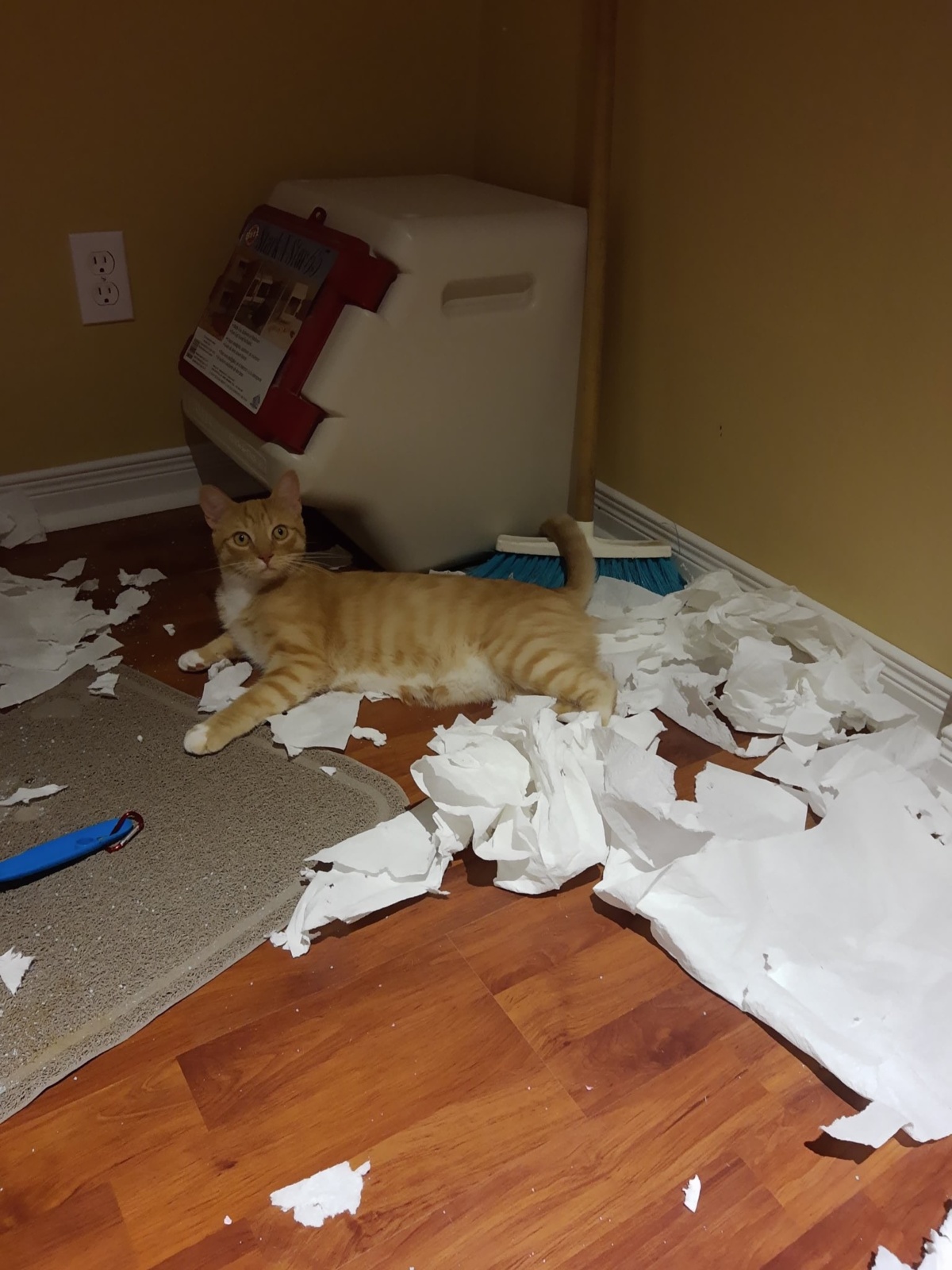 f18cb68c-37b7-44e9-8faf-a64c7d3bb283