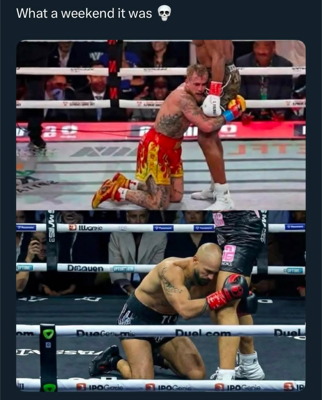 cc8d1455-3957-4300-ad2f-e2bdec41ec05